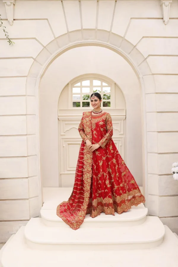 Agha noor dress